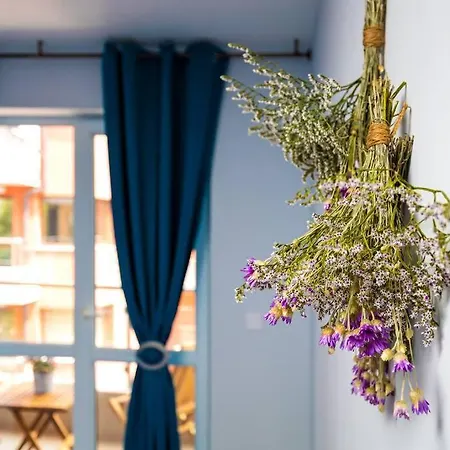 The Little Beauty Next To Old Town & Kapana شقة *